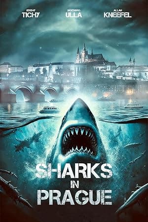Sharks in Prague
